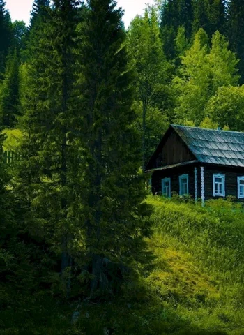 Боровецкий лес дом отшельника