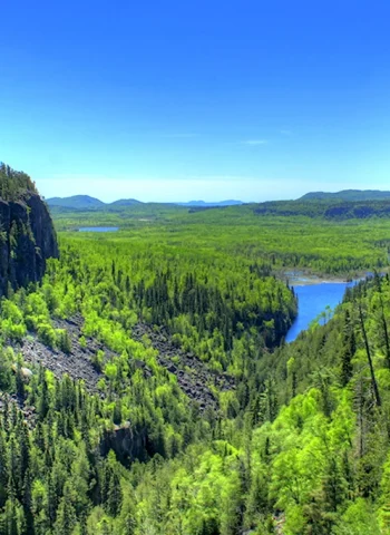 Canada Лесные ресурсы