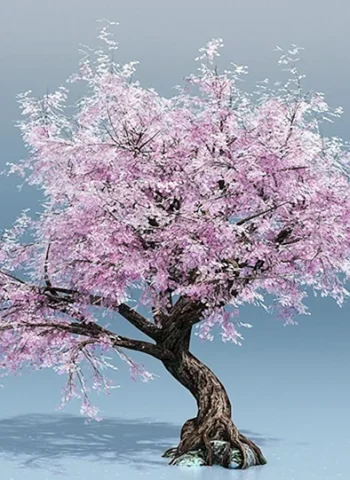 Дерево Сакуры Геншин