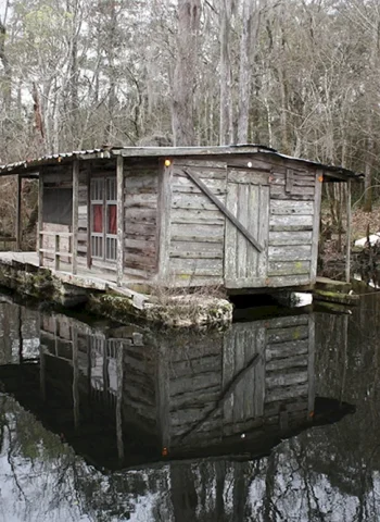 Дом на болоте Луизиана