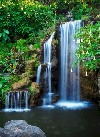 Джунглия Ботанический сад с водопадом