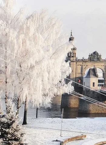 Мост королевы Луизы Калининград зимой