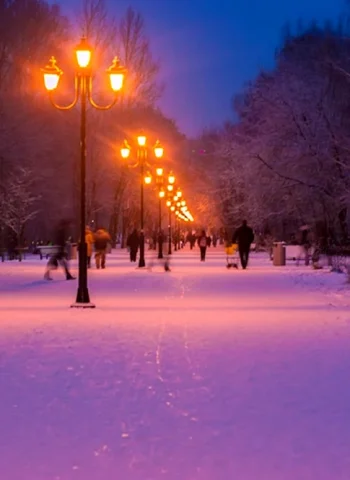 Парк Пехорка зимой
