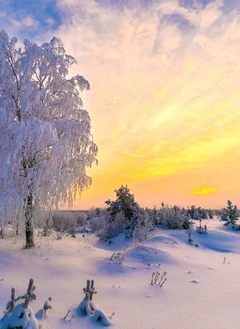 Республика Коми Печора зима
