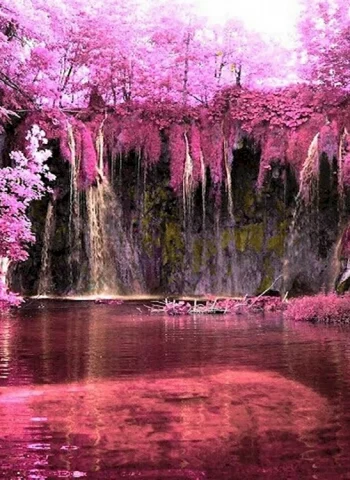 Розовый водопад