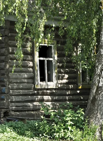 Старый деревенский дом в березах