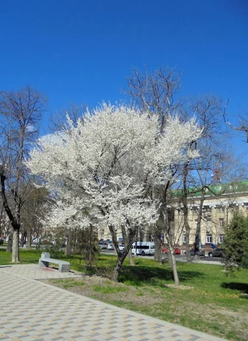 Весна в Новороссийске