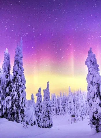 Зимний лес Северное сияние