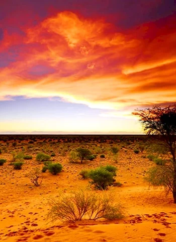 Ботсвана пустыня Калахари