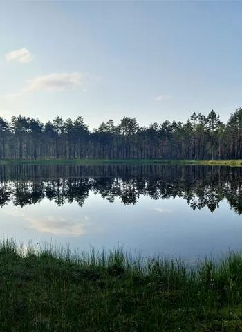 Чертово озеро Зеленогорск