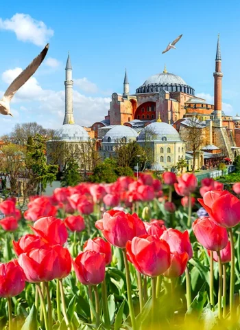 Фестиваль тюльпанов в Стамбуле 2022