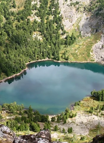 Форелевое озеро Чемал Алтай