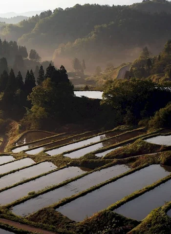 Япония рисовые поля храм горы