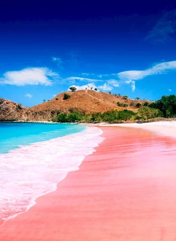 Остров Комодо розовый пляж