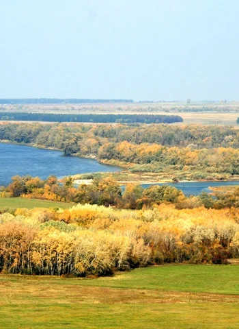 Природа Ростовской области Дон