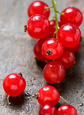 Redberry ягода