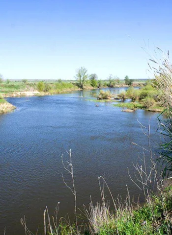 Река Чир Волгоградская область