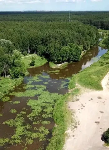 Река лапка РЖЕВСКИЙ лесопарк
