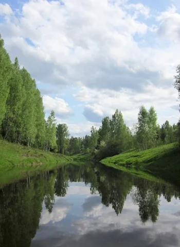 Река Тосна Ленинградская область