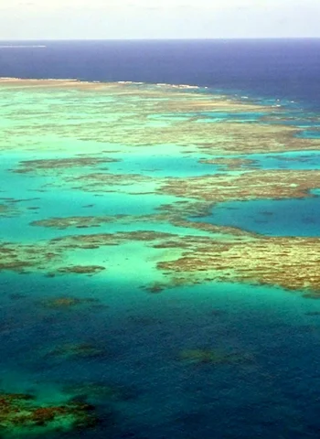 Саргассово море Бермудские острова